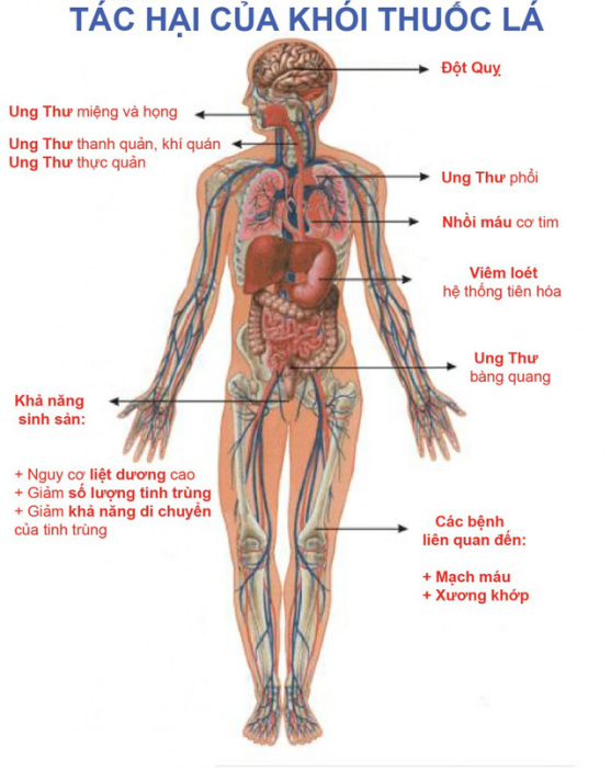 Những động lực giúp cai thuốc lá thành công